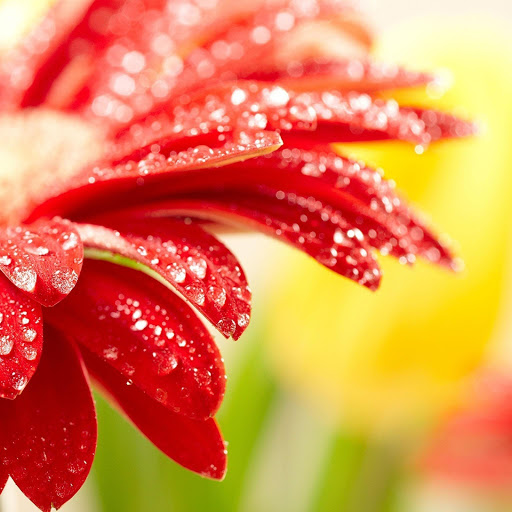 Hd-171059-ascw171059