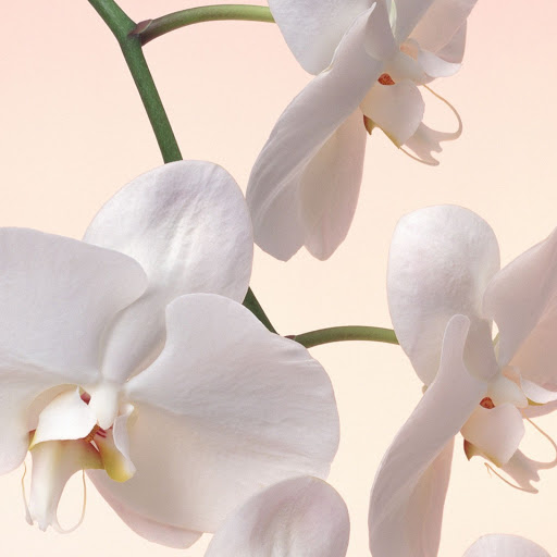 Hd-146624-ascw146624