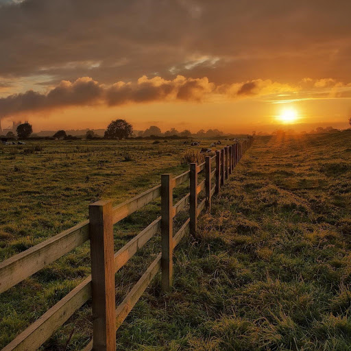 Hd-169878-ascw169878