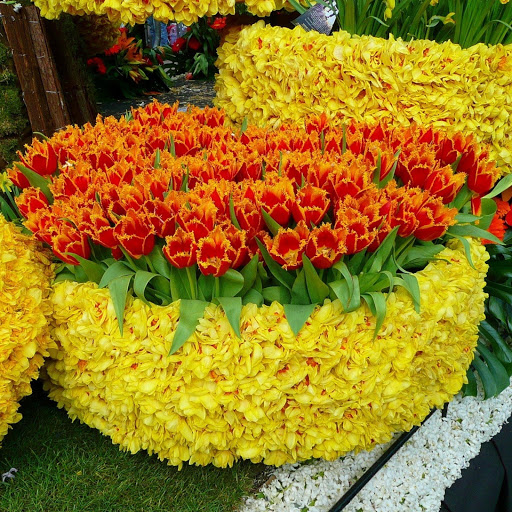 Hd-133700-ascw133700