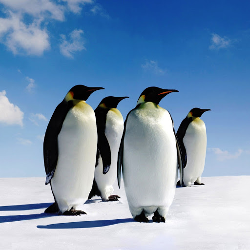 Hd-146087-ascw146087