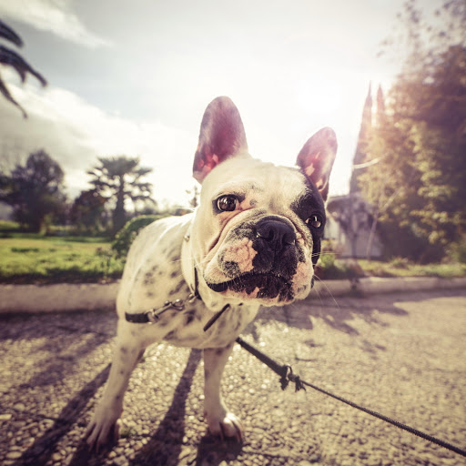 Hd-162384-ascw162384