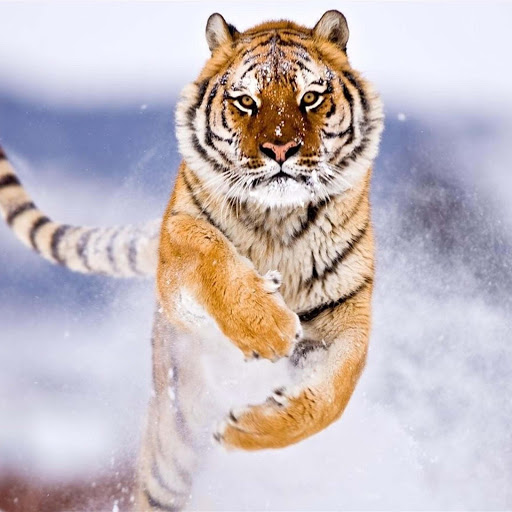 Hd-167178-ascw167178