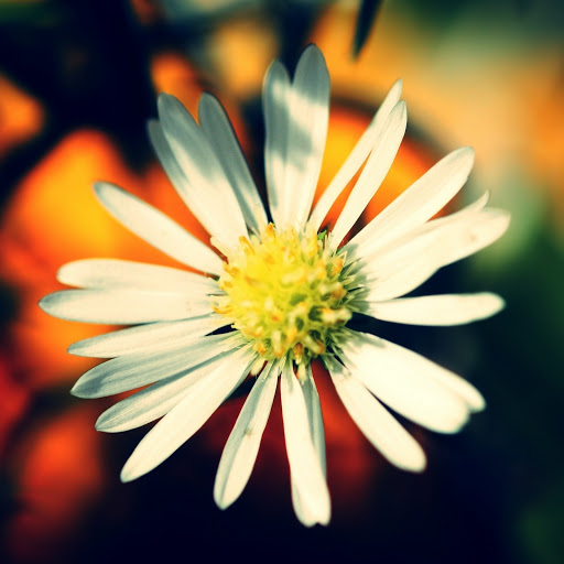 Hd-172736-ascw172736