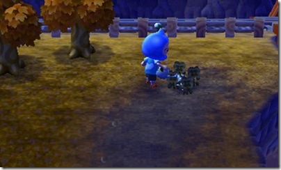 HNI_0039 HNI_0039