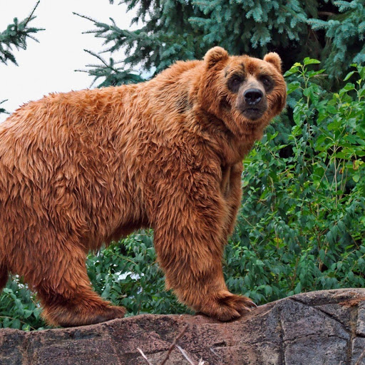 Hd-182093-ascw182093