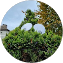 Arlene O TOOLE profile picture