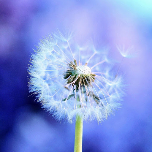 Hd-164239-ascw164239