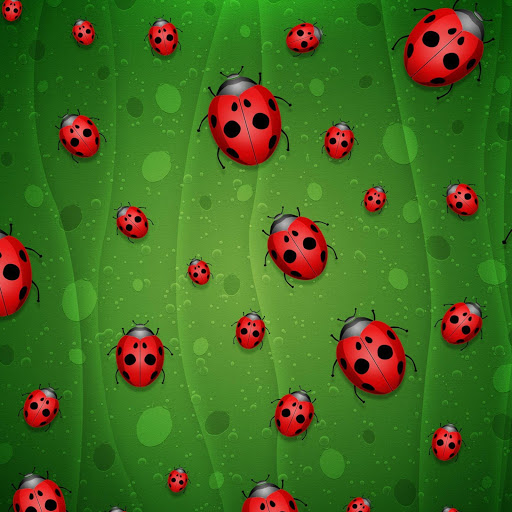 Hd-165596-ascw165596