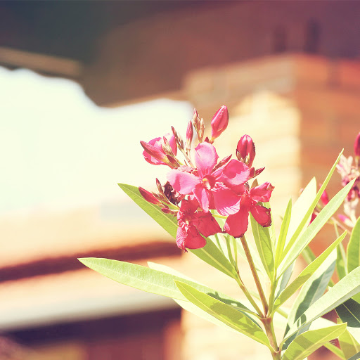 Hd-170620-ascw170620