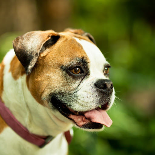 Hd-174825-ascw174825