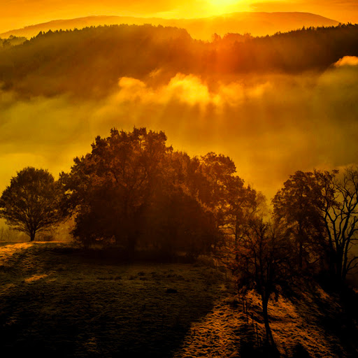 Hd-131143-ascw131143