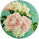 Philippa D. Philippa D.
