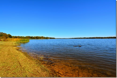Purtis Creek Lake