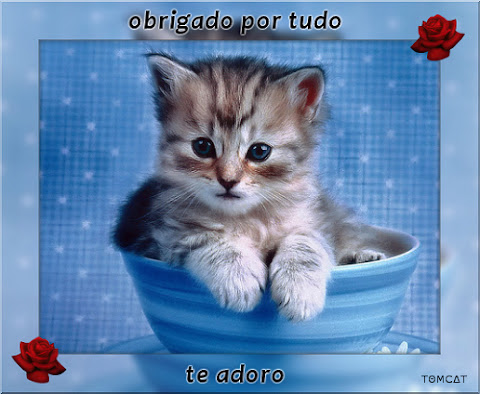 gato_02.jpg