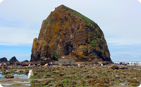 Haystack Rock