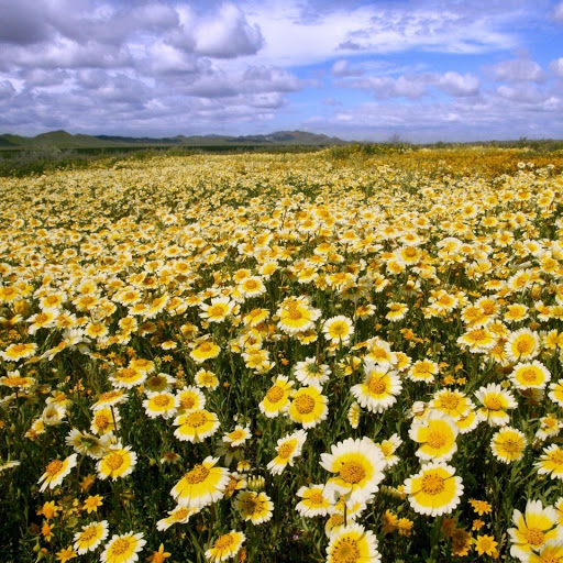 Hd-147179-ascw147179