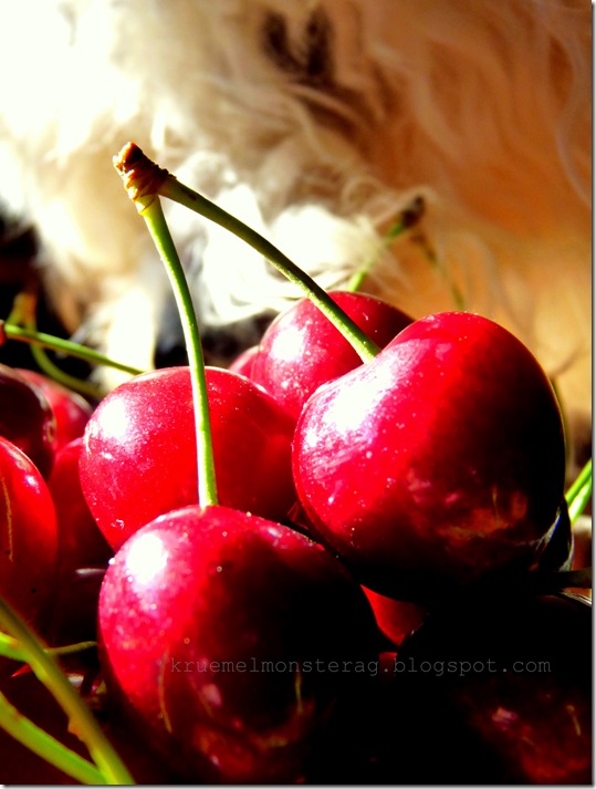 with me is good cherry eating (2)