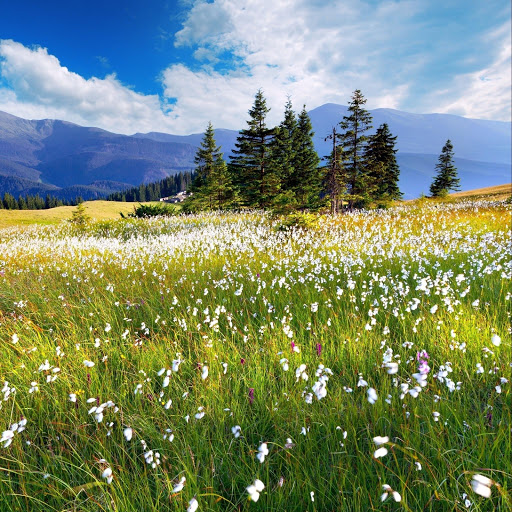 Hd-143075-ascw143075