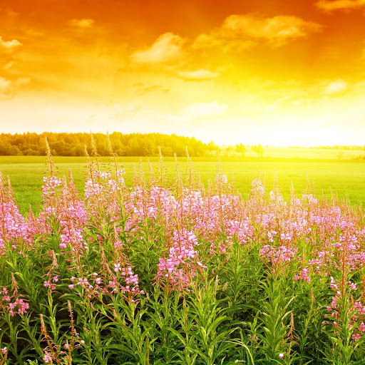 Hd-145462-ascw145462