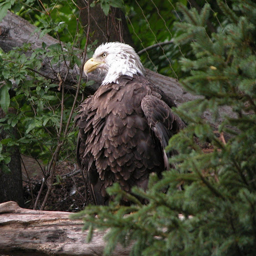 Hd-139700-ascw139700