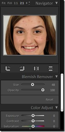 Free Photo Blemish Remover barra strumenti