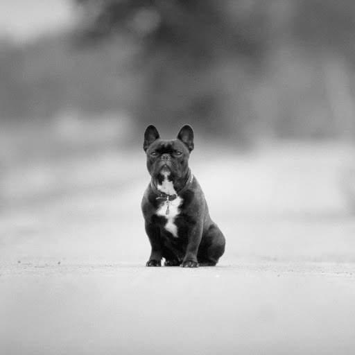 Hd-131957-ascw131957