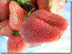 strawberry 7
