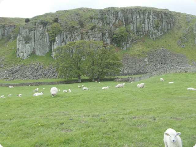 holwick scar