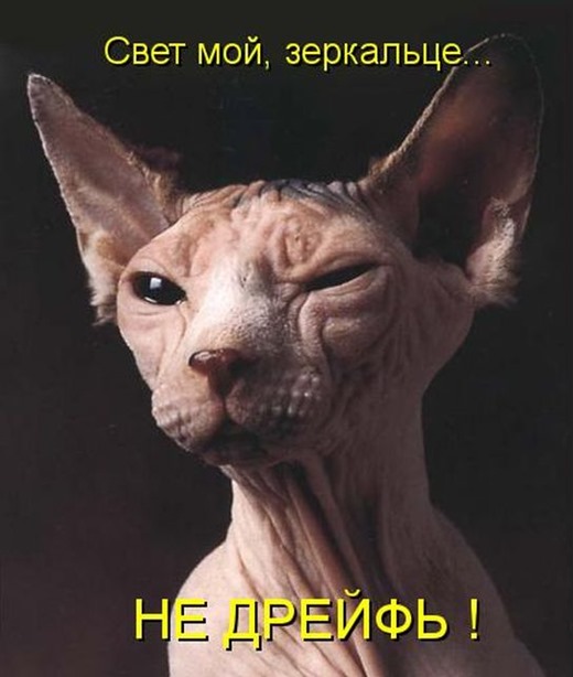 [8b89f58c286a5f422a2a01bedbc%255B3%255D.jpg]