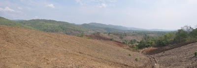 DSC_0220.JPG