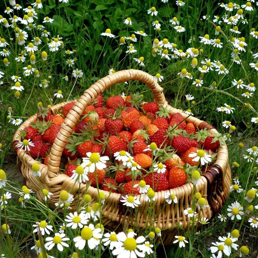 Hd-132367-ascw132367