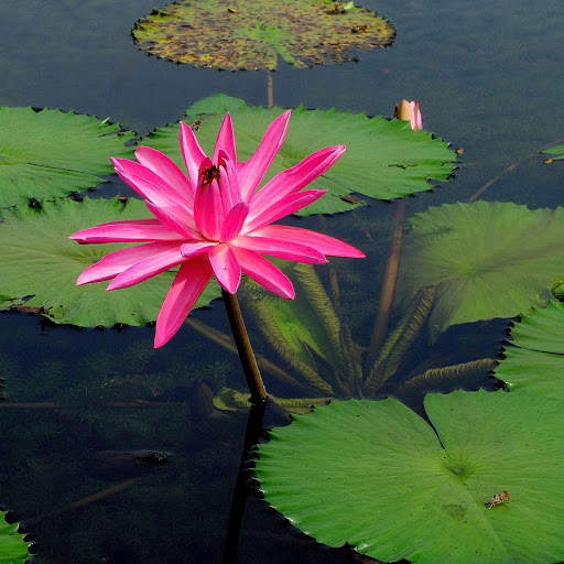 Hd-163968-ascw163968