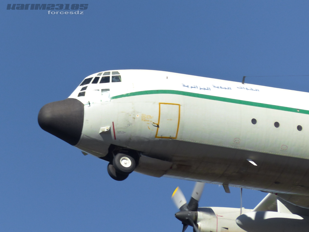 صور طائرات النقل والشحن الجزائرية [ C-130H/H30  /  Hercules ]  - صفحة 11 3