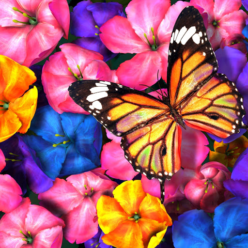 Hd-132913-ascw132913