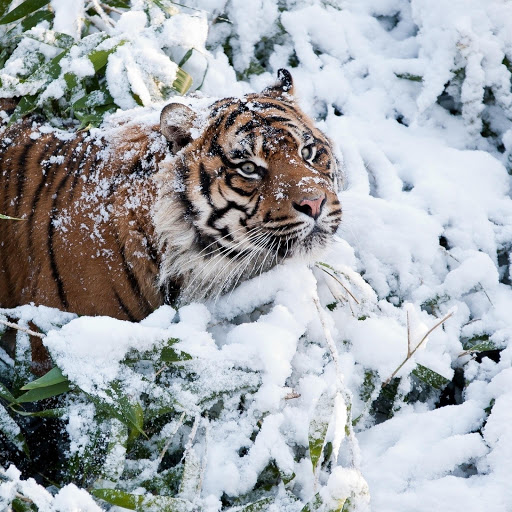 Hd-134701-ascw134701