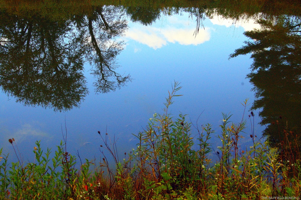 [DSC_0042%255B5%255D.jpg]