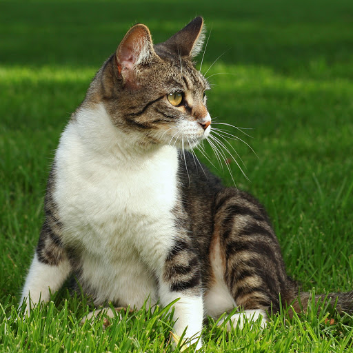 Hd-177645-ascw177645