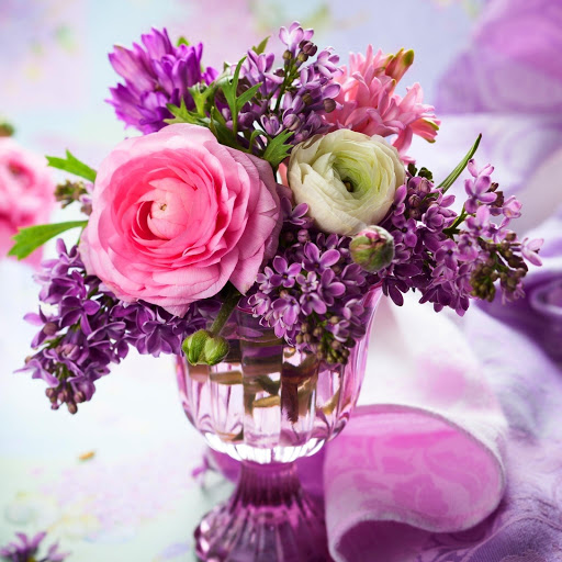 Hd-164547-ascw164547