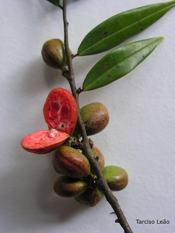 [image%255B14%255D.png]