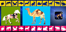 Animal Pic Shapes APK