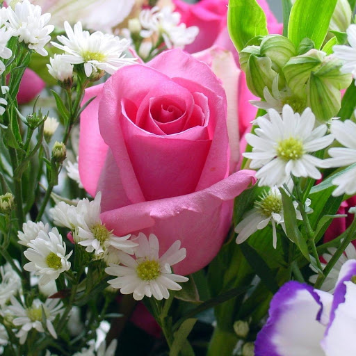 Hd-178547-ascw178547