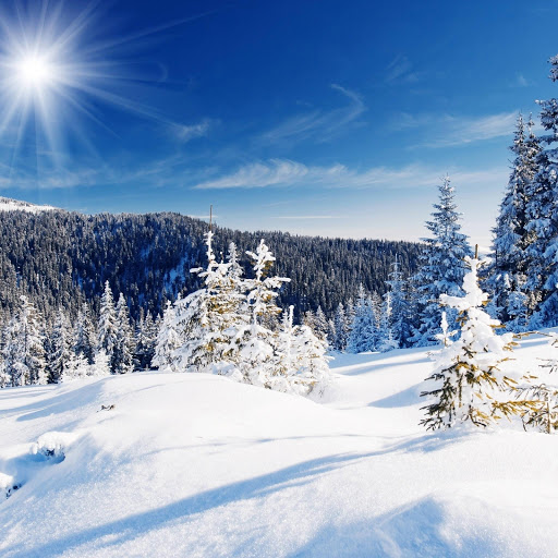 Hd-167003-ascw167003