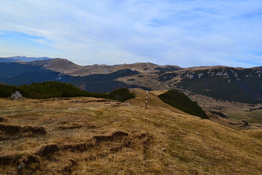 [DSC_70843.jpg]
