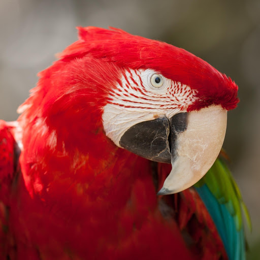 Hd-176755-ascw176755