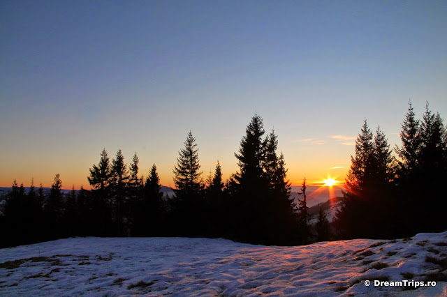 IMG_7592.JPG