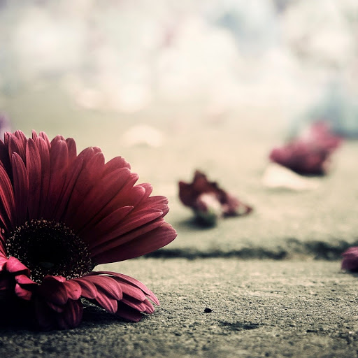 Hd-147219-ascw147219