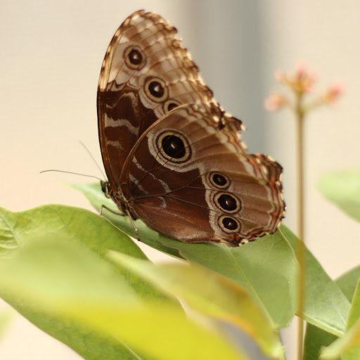 Hd-159953-ascw159953