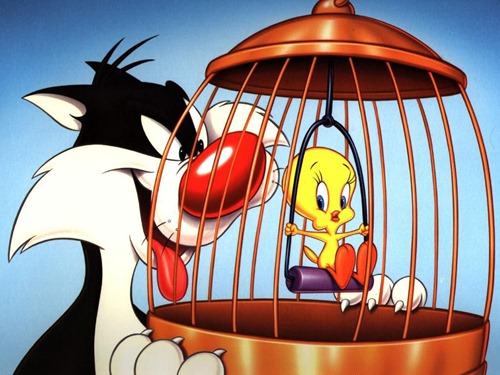 tweety_and_sylvester_10