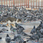 ___Юлия, sanday1.jpg